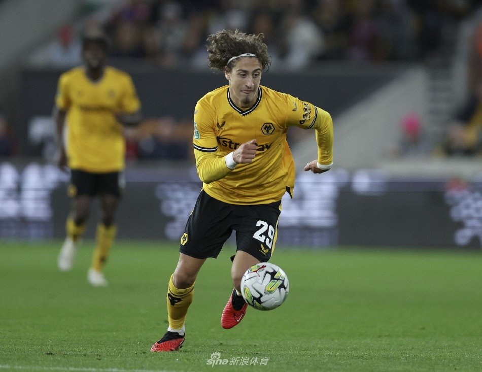 断费引关注 断费引关注